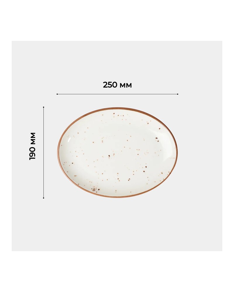 Блюдо «Париж» овальное фарфор ,L=25,B=19см белый,коричнев.