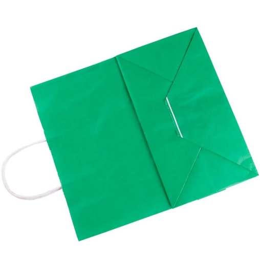 Зеленый бум. пакет 220×120×250 мм с кручеными ручками