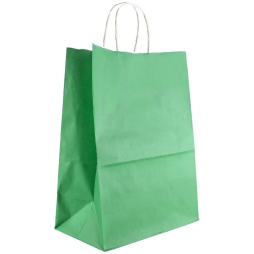 Зеленый бум. пакет 260×150×350 мм с кручеными ручками