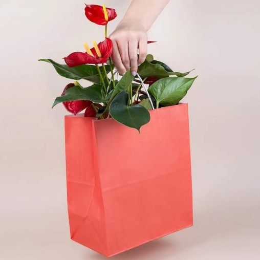 Красный бум. пакет 220×120×250 мм с кручеными ручками