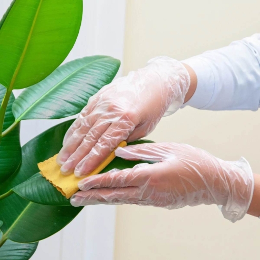 Перчатки AVIORA неопудренные винил ПРОЗРАЧНЫЕ р. L 100 шт.