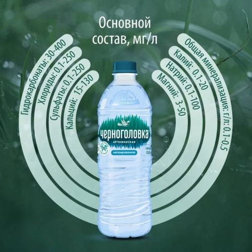 Вода Черноголовская негазированная 500 мл ПЭТ