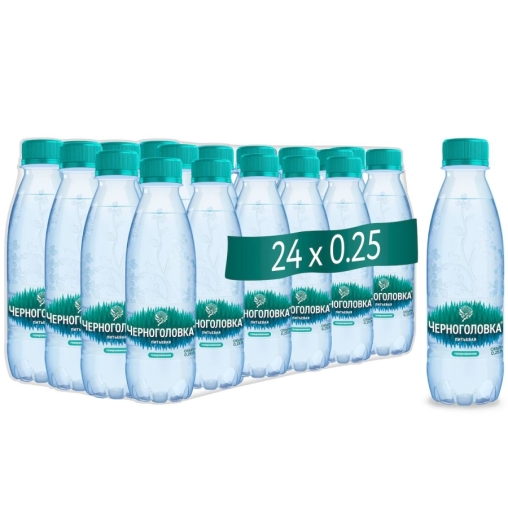 Вода Черноголовка газированная 250 мл ПЭТ