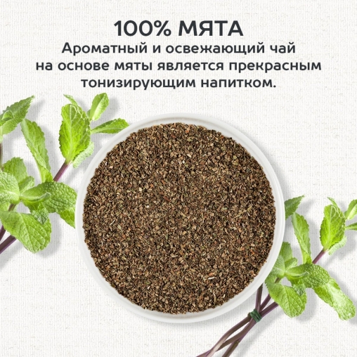 Чай Julius Meinl Мята пакетированный премиум органик 25 пак.