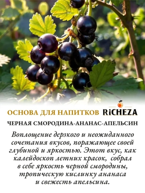 Основа для напитков RiCHEZA Черная смородина Ананас Апельсин стекло 1000 мл