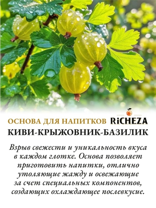 Основа для напитков RiCHEZA Киви Крыжовник Базилик стекло 1000 мл