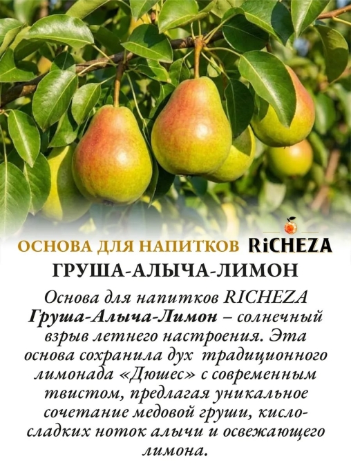 Основа для напитков RiCHEZA Груша Алыча Лимон стекло 1000 мл