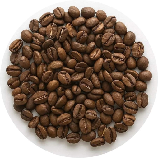 Кофе в зернах NORR 55 BRAZIL с попугаем 1000 г