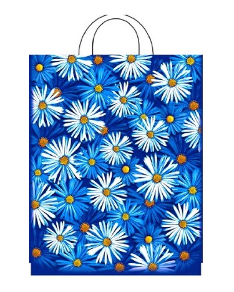 Пакет ПЭ с петлевой ручкой 28x35см (55) (Пробуждение) Интерпак (х25/500)
