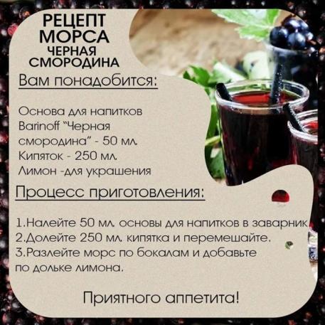 Основа для напитков Barinoff Черная смородина 1000 г
