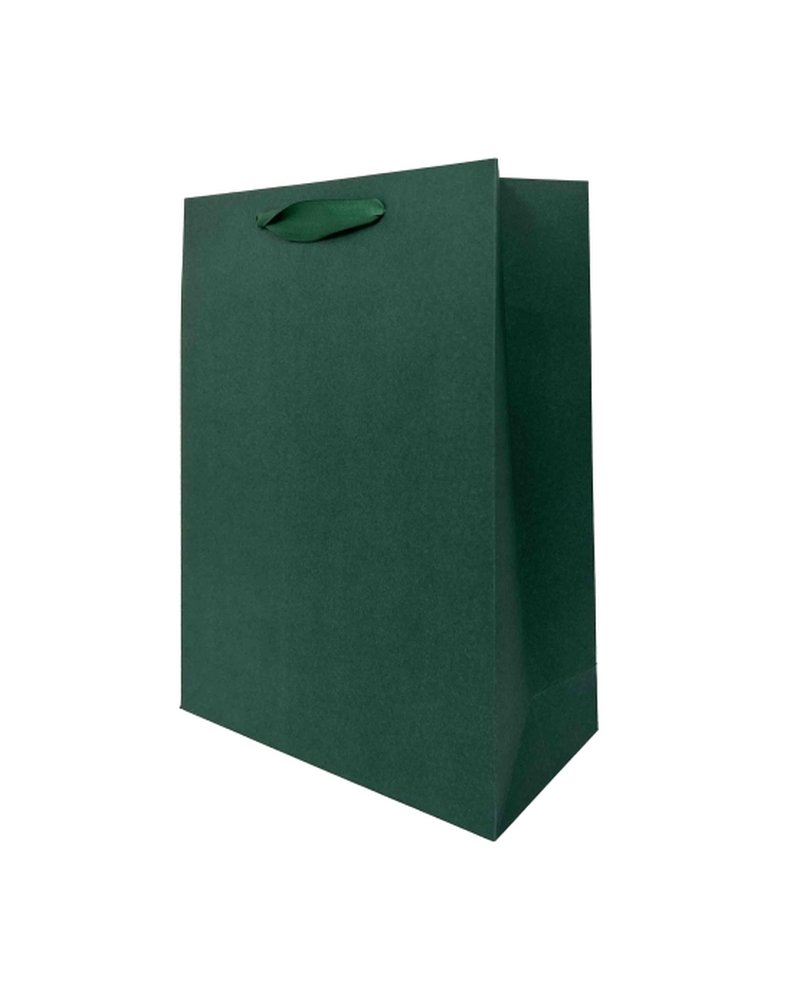 Пакет подарочный 25x36+10см (SPL25 Green) (х10/200) КИТАЙ