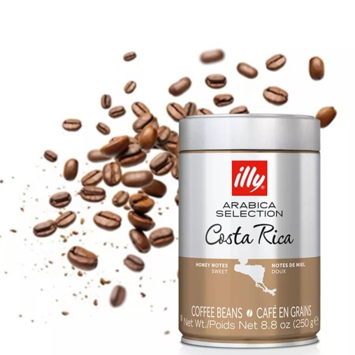 Кофе зерновой illy Monoarabica Costa Rica 250 г