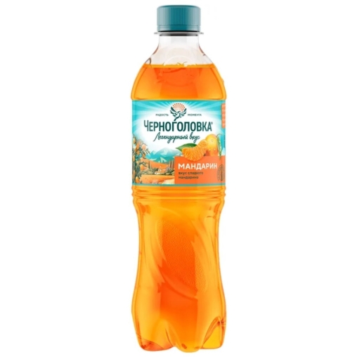 Напиток Черноголовка Мандарин 500 мл ПЭТ Напиток Черноголовка Мандарин 500 мл ПЭТ