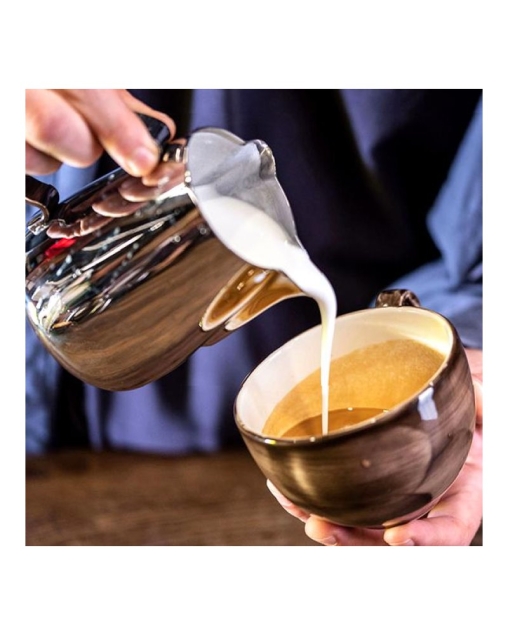 Питчер Ilsa Revolution DUO B с двумя носиками 500 мл нерж. сталь