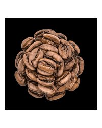 Кофе в зернах Tasty Coffee Боливия Пакамара Лос Родригес 250г