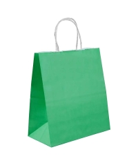 Зеленый бум. пакет 220×120×250 мм с кручеными ручками