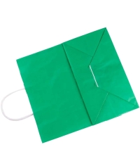 Зеленый бум. пакет 220×120×250 мм с кручеными ручками