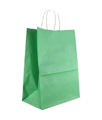 Зеленый бум. пакет 260×150×350 мм с кручеными ручками