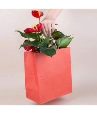 Красный бум. пакет 260×150×350 мм с кручеными ручками