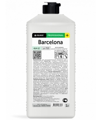 Бесспиртовой антисептик BARCELONA Professional Pro-Brite 1 л