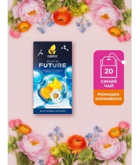 Чайный напиток Curtis Tea Of The Future SUPER CALM 20 саше × 1.5 г
