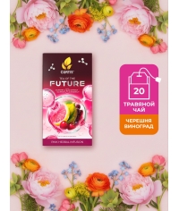 Чайный напиток Curtis Tea Of The Future SUPER ENERGY 20 саше × 1.5 г