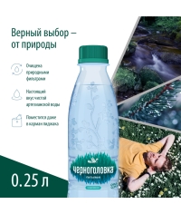 Вода Черноголовка газированная 250 мл ПЭТ