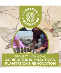 Кофе в зернах Lavazza ¡TIERRA! Bio Organic HUMECO 1000 г