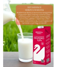 Молоко Лебедянь 3,2% тетрапак 1000 г