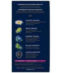 Чай Richard DIGESTIVE зеленый аромат. 20 саше × 1.5 г Чай Richard DIGESTIVE зеленый аромат. 20 саше × 1.5 г