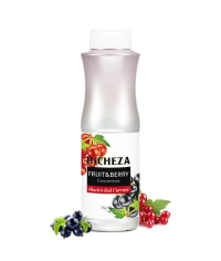 Концентрат RiCHEZA Черная и Красная Смородина BLACK & RED CURRANT 1000 г