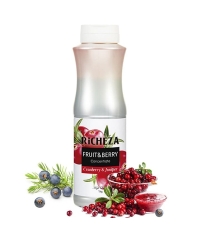 Концентрат RiCHEZA Клюква Можжевельник CRANBERRY JUNIPER 1000 г