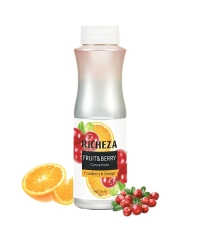 Концентрат RiCHEZA Клюква Апельсин CRANBERRY ORANGE 1000 г