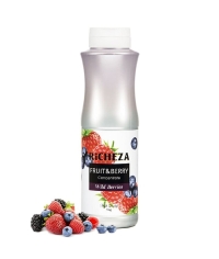 Концентрат RiCHEZA Лесные Ягоды WILD BERRIES 1000 г