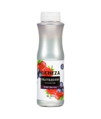 Концентрат RiCHEZA Лесные Ягоды WILD BERRIES 1000 г