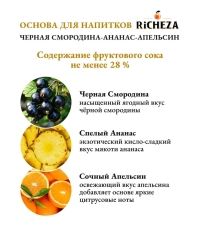 Основа для напитков RiCHEZA Черная смородина Ананас Апельсин стекло 1000 мл