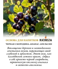 Основа для напитков RiCHEZA Черная смородина Ананас Апельсин стекло 1000 мл