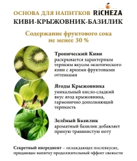Основа для напитков RiCHEZA Киви Крыжовник Базилик стекло 1000 мл