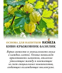 Основа для напитков RiCHEZA Киви Крыжовник Базилик стекло 1000 мл
