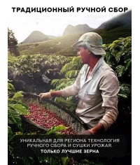 Кофе в зернах Barista GEO Espresso Brazil 1000 г