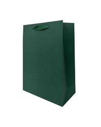 Пакет подарочный 25x36+10см (SPL25 Green) (х10/200) КИТАЙ
