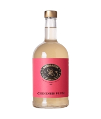 Сироп Herbarista Chinensis plum Личи стекло 700 мл