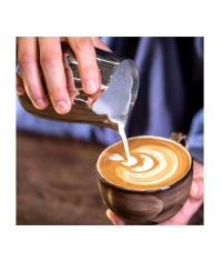 Питчер Ilsa Revolution DUO B с двумя носиками 500 мл нерж. сталь