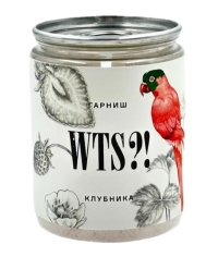 Гарниш WTS?! Клубника банка 80 г Гарниш WTS?! Клубника банка 80 г