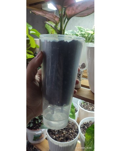 Стакан PP прозрачный глянцевый d=90 650 мл отзыв № 0167478017-0087-2 от 21.11.2025 11:05:39 фото № 3