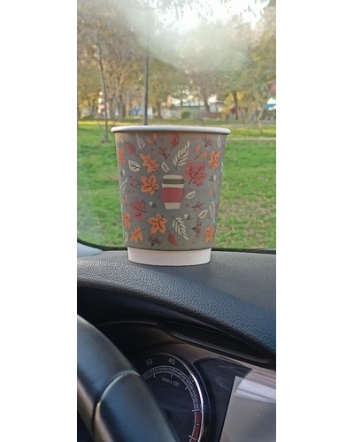 Стакан бумажный 2-слойный ProstoKap Осень Листья СЕРЫЙ d=80 250 мл № 0174633691-0097-1 10.11.2025 16:25:28 фото № 1