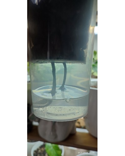 Стакан PP прозрачный глянцевый d=90 650 мл отзыв № 0167478017-0087-2 от 21.11.2025 11:05:39 фото № 1