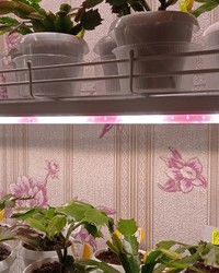 Контейнер круглый PP d=101 250 мл № 0136571077-0290-1 13.10.2025 10:30:59 фото № 1