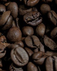 Кофе в зернах Milagro Cappuccino Crema 800 г № 0159273614-0036-1 11.10.2025 16:37:06 фото № 1