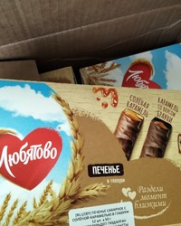 Печенье Любятово сахарное Соленая карамель в глазури 50 г № 39218354-0208-1 27.10.2025 12:05:43 фото № 1